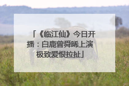 《临江仙》今日开播：白鹿曾舜晞上演极致爱恨拉扯