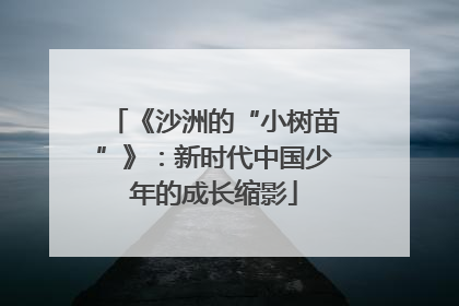 《沙洲的“小树苗”》：新时代中国少年的成长缩影