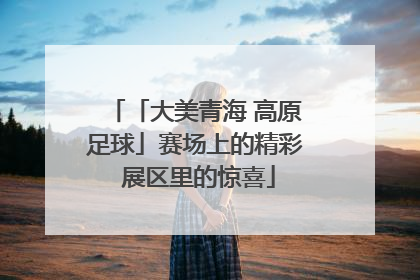 「大美青海 高原足球」赛场上的精彩 展区里的惊喜