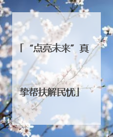 “点亮未来”真挚帮扶解民忧