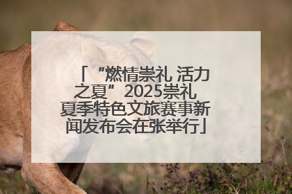 “燃情崇礼 活力之夏”2025崇礼夏季特色文旅赛事新闻发布会在张举行
