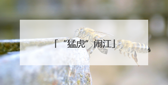 “猛虎”闹江