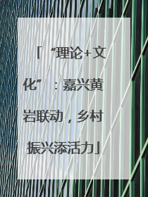“理论+文化”：嘉兴黄岩联动，乡村振兴添活力