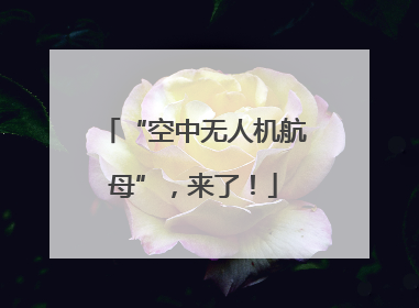 “空中无人机航母”，来了！