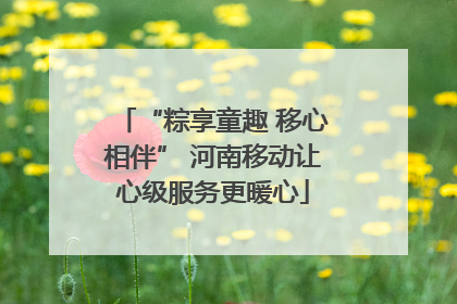 “粽享童趣 移心相伴” 河南移动让心级服务更暖心