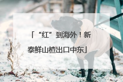 “红”到海外！新泰鲜山楂出口中东