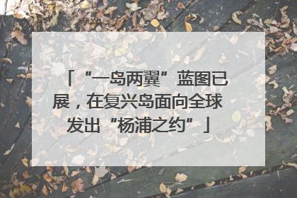 “一岛两翼”蓝图已展，在复兴岛面向全球发出“杨浦之约”