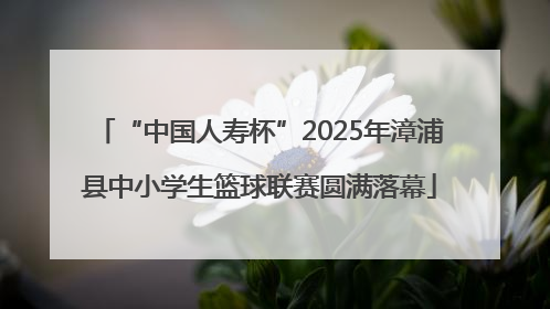 “中国人寿杯”2025年漳浦县中小学生篮球联赛圆满落幕