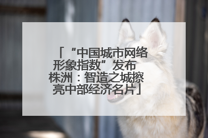 “中国城市网络形象指数”发布 株洲：智造之城擦亮中部经济名片