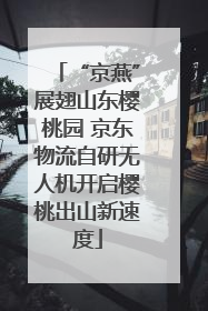 “京燕”展翅山东樱桃园 京东物流自研无人机开启樱桃出山新速度