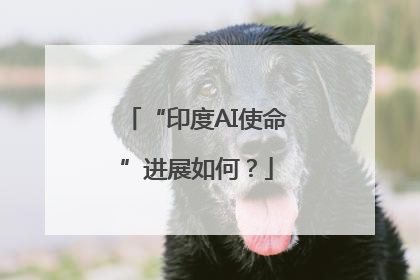 “印度AI使命”进展如何？