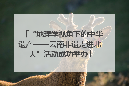 “地理学视角下的中华遗产——云南非遗走进北大”活动成功举办