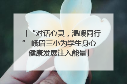 “对话心灵，温暖同行” 峨眉三小为学生身心健康发展注入能量