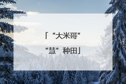 “大米哥”“慧”种田