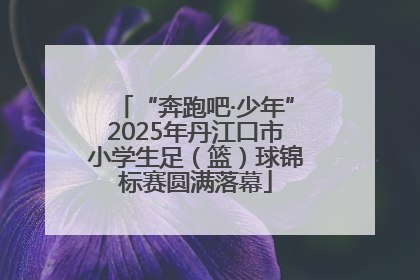 “奔跑吧·少年”2025年丹江口市小学生足（篮）球锦标赛圆满落幕