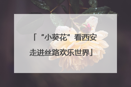 “小葵花”看西安走进丝路欢乐世界