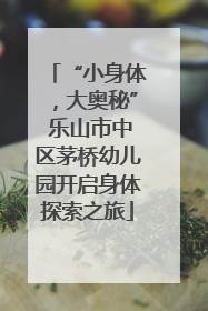“小身体，大奥秘” 乐山市中区茅桥幼儿园开启身体探索之旅
