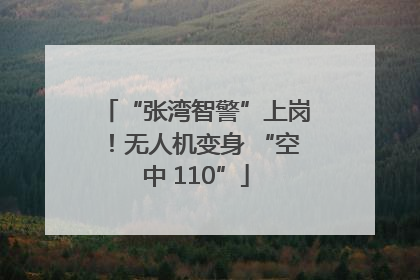 “张湾智警”上岗！无人机变身 “空中 110”
