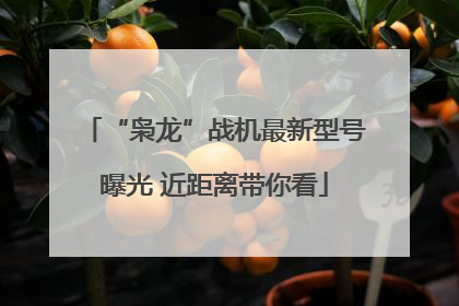 “枭龙”战机最新型号曝光 近距离带你看