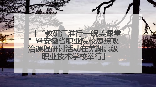 “教研江淮行—皖美课堂”暨安徽省职业院校思想政治课程研讨活动在芜湖高级职业技术学校举行