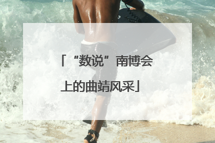 “数说”南博会上的曲靖风采