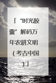 “时光胶囊”解码万年农耕文明（考古中国）