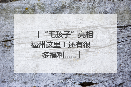 “毛孩子”亮相福州这里！还有很多福利……