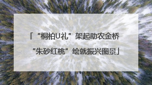 “桐柏U礼”架起助农金桥 “朱砂红桃”绘就振兴图景