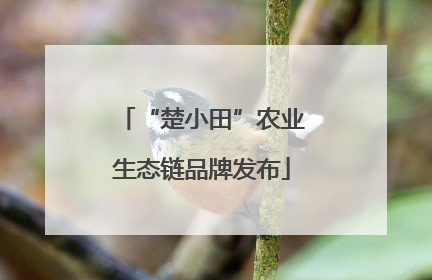 “楚小田”农业生态链品牌发布