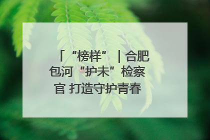 “榜样”｜合肥包河“护未”检察官 打造守护青春成长的永恒灯塔