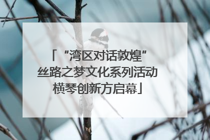 “湾区对话敦煌” 丝路之梦文化系列活动横琴创新方启幕