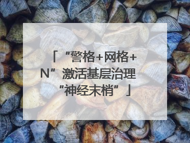 “警格+网格+N”激活基层治理“神经末梢”
