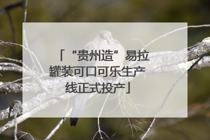 “贵州造”易拉罐装可口可乐生产线正式投产