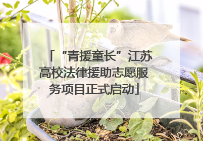 “青援童长”江苏高校法律援助志愿服务项目正式启动