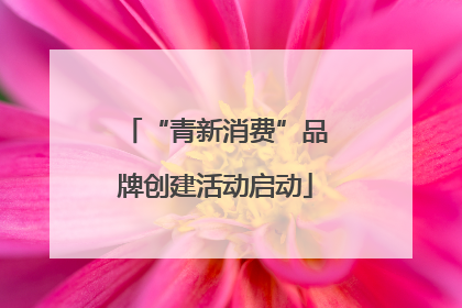 “青新消费”品牌创建活动启动