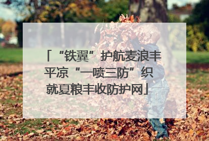 “铁翼”护航麦浪丰 平凉“一喷三防”织就夏粮丰收防护网