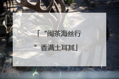 “闽茶海丝行”香满土耳其