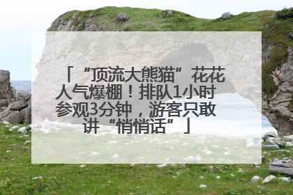 “顶流大熊猫”花花人气爆棚！排队1小时参观3分钟，游客只敢讲“悄悄话”