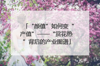 “颜值”如何变“产值”——“赏花热”背后的产业图谱