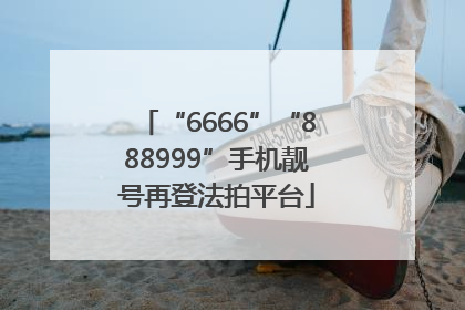 “6666”“888999”手机靓号再登法拍平台