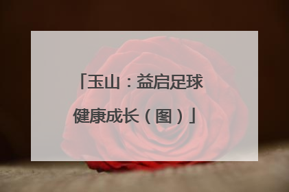 玉山：益启足球 健康成长（图）
