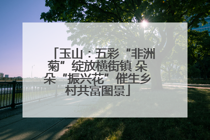 玉山：五彩“非洲菊”绽放横街镇 朵朵“振兴花”催生乡村共富图景