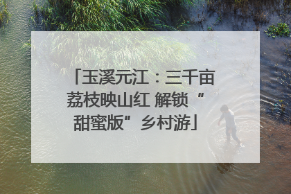 玉溪元江：三千亩荔枝映山红 解锁“甜蜜版”乡村游