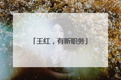 王红，有新职务