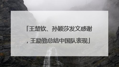 王楚钦、孙颖莎发文感谢，王励勤总结中国队表现