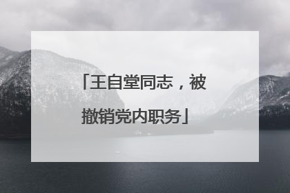 王自堂同志，被撤销党内职务