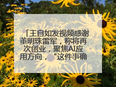 王自如发视频感谢董明珠雷军，称将再次创业，聚焦AI应用方向，“这件事确实来钱快”