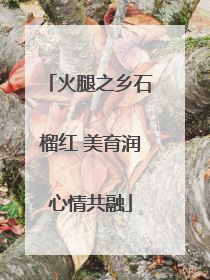 火腿之乡石榴红 美育润心情共融