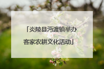 炎陵县沔渡镇举办客家农耕文化活动