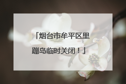 烟台市牟平区里蹦岛临时关闭！